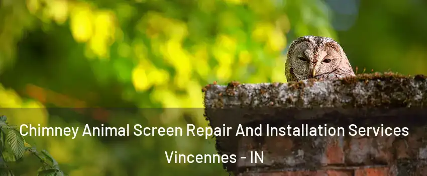  Chimney Animal Screen Repair And Installation Services Vincennes - IN
