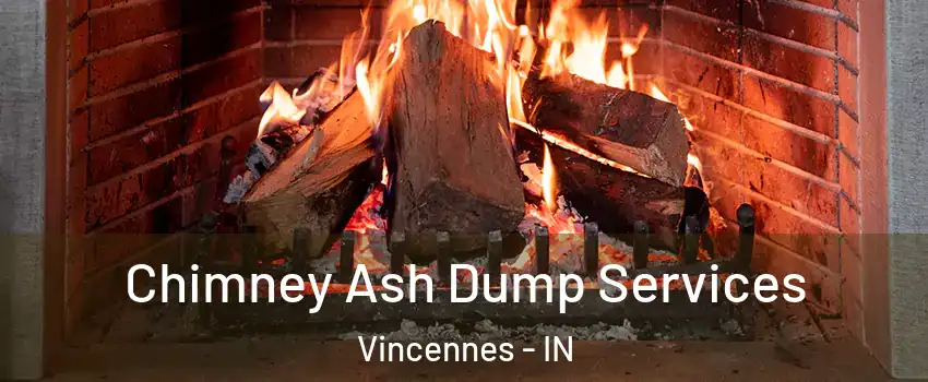  Chimney Ash Dump Services Vincennes - IN