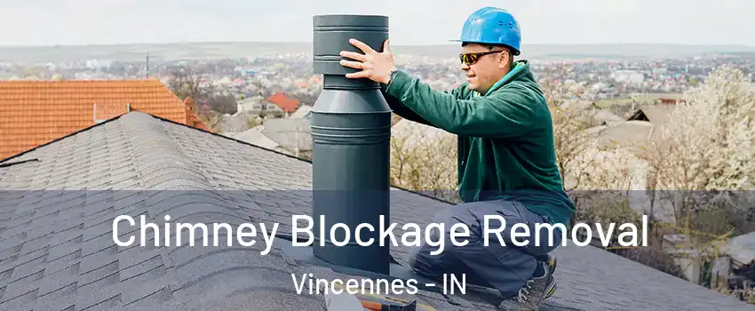 Chimney Blockage Removal Vincennes - IN