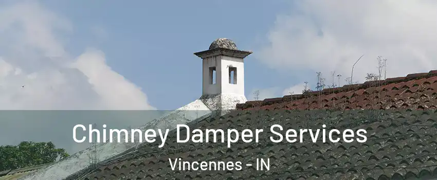 Chimney Damper Services Vincennes - IN