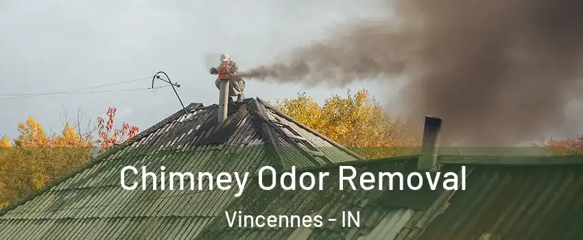  Chimney Odor Removal Vincennes - IN
