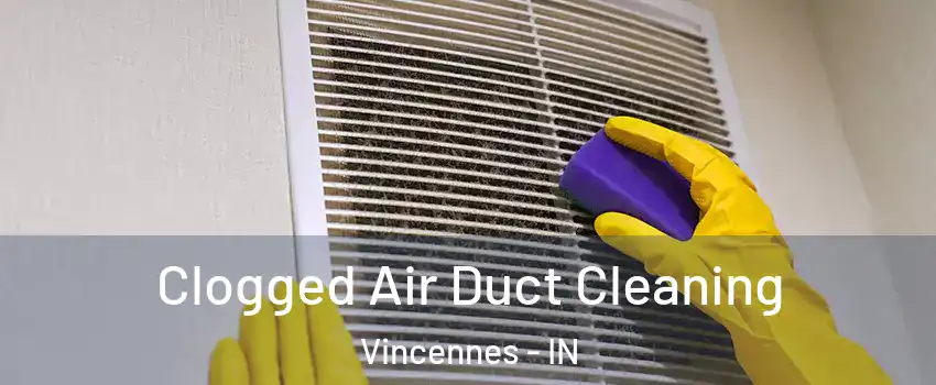  Clogged Air Duct Cleaning Vincennes - IN