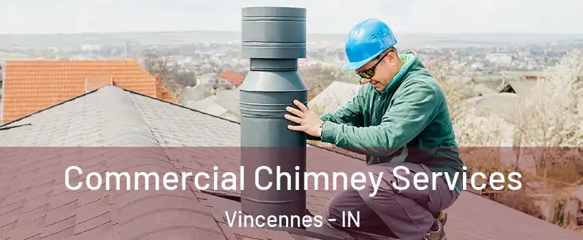  Commercial Chimney Services Vincennes - IN