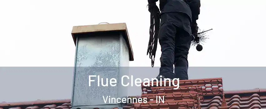  Flue Cleaning Vincennes - IN