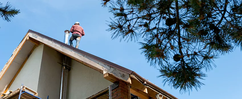 Birds Removal Contractors from Chimney in Vincennes, IN